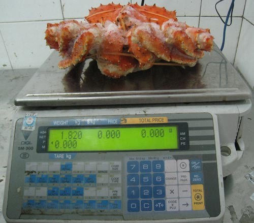 Nặng gần 2 kg